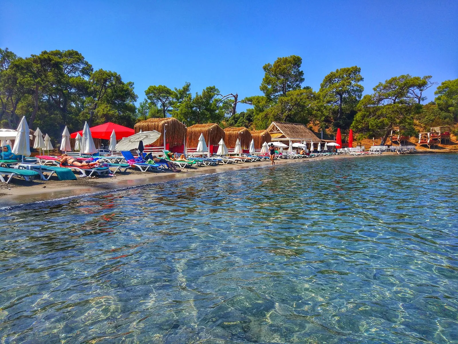 Küçükboncuklu Bay