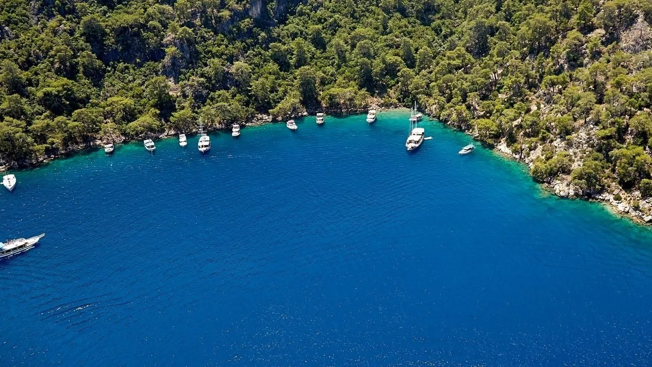 费特希耶人猿湾