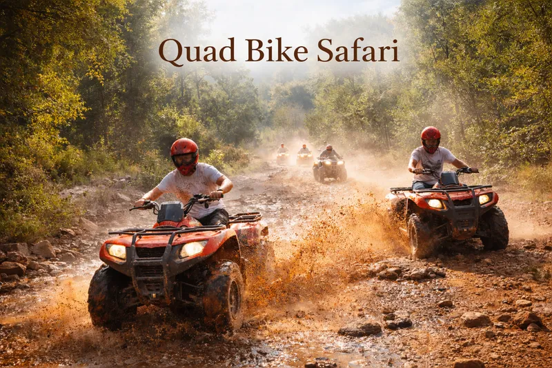 Quad Bike Safari